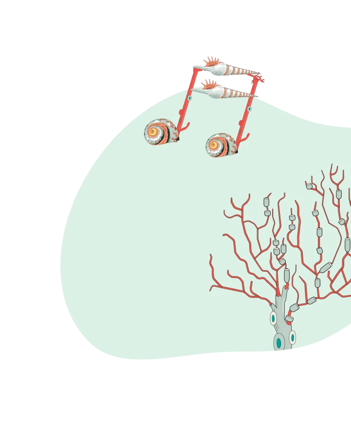 alt image