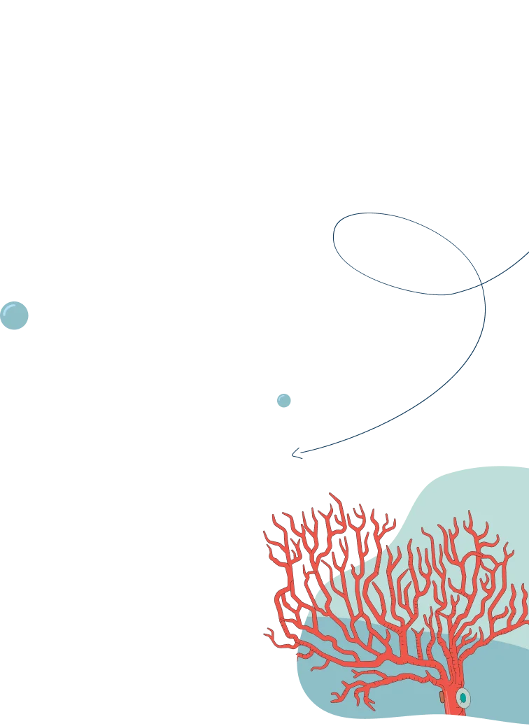 alt image
