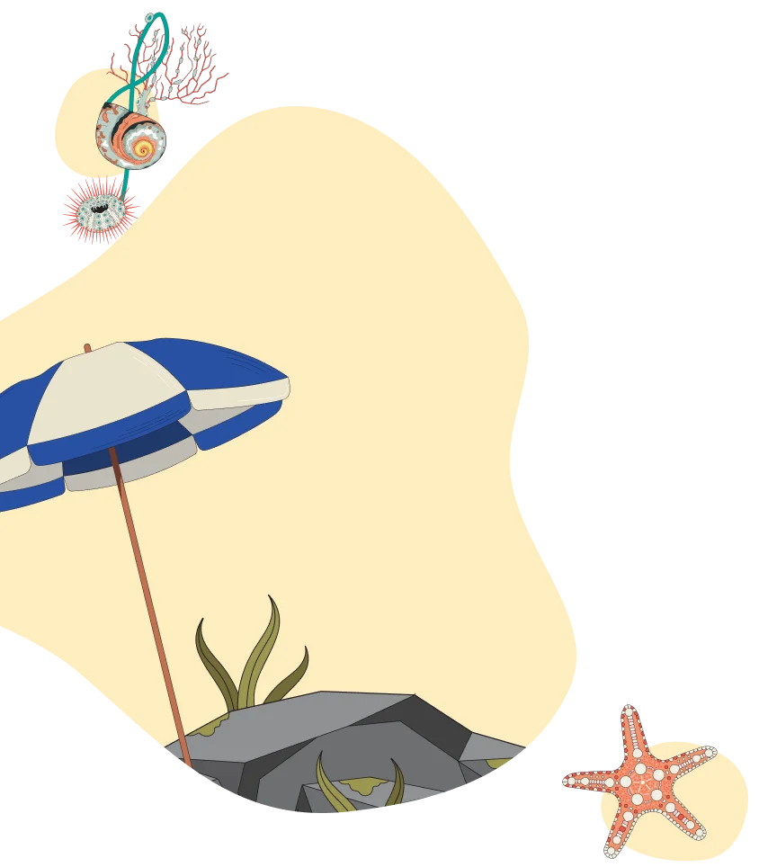 alt image